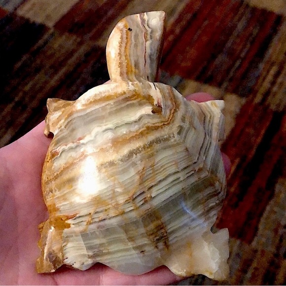 XL Banded Onyx Turtle - Picture 1 of 2